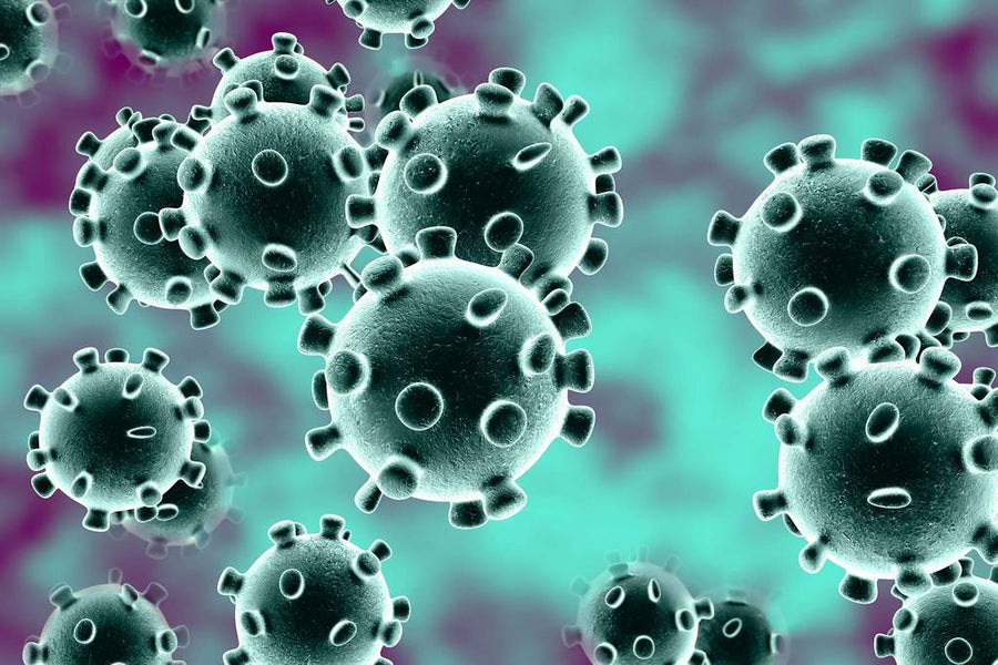 Beeinträchtigt das Covid-19-Coronavirus die Lieferkette von Stomaprodukten?